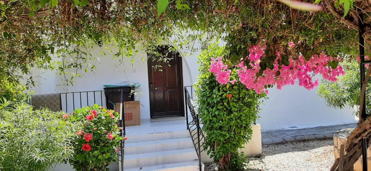 Villa Bougainvillea With Privite Pool Vasilia Exterior photo